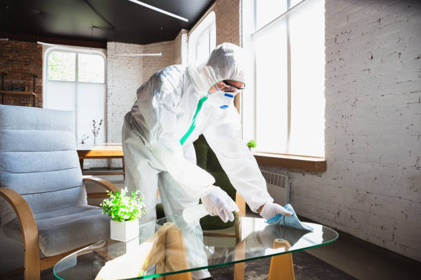 Why You Should Choose Our Mold Remediation Services in Wrangell, AK